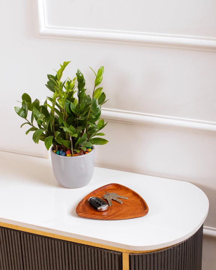 TRI-NEST PLATTER